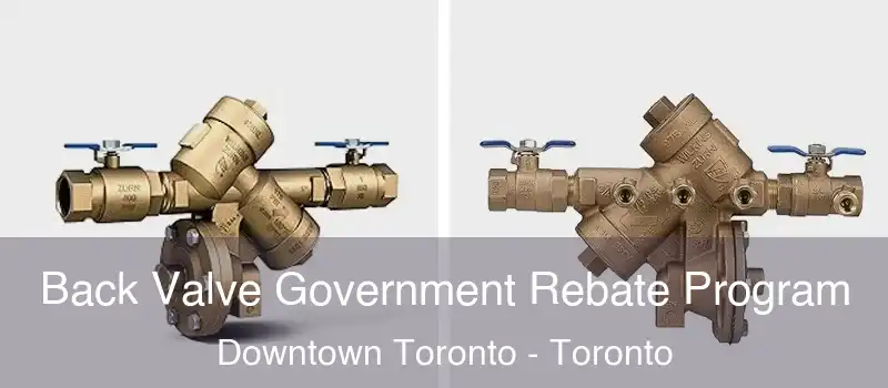  Back Valve Government Rebate Program Downtown Toronto - Toronto