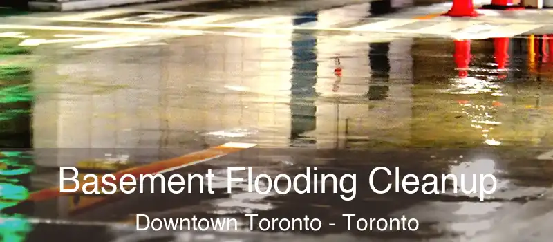  Basement Flooding Cleanup Downtown Toronto - Toronto