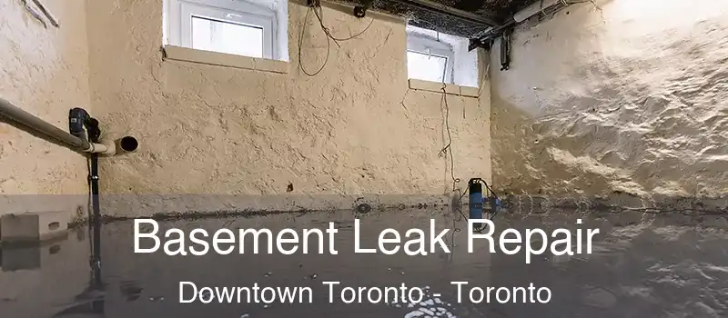  Basement Leak Repair Downtown Toronto - Toronto