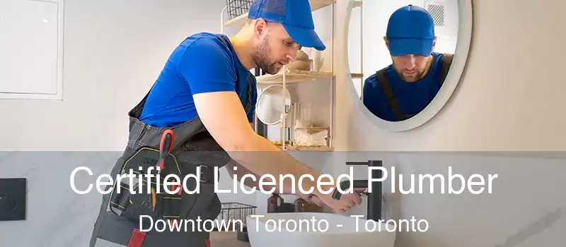  Certified Licenced Plumber Downtown Toronto - Toronto