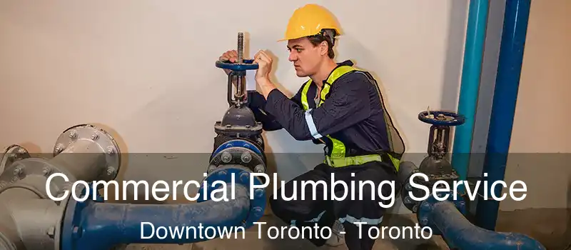  Commercial Plumbing Service Downtown Toronto - Toronto