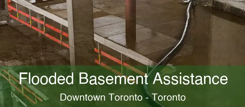  Flooded Basement Assistance Downtown Toronto - Toronto