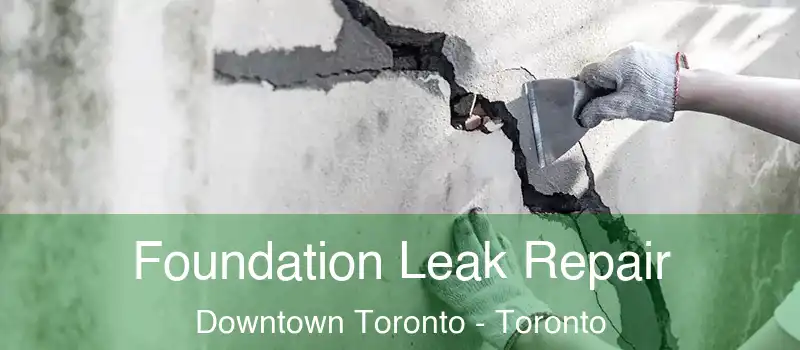  Foundation Leak Repair Downtown Toronto - Toronto