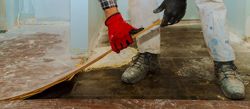 Cost Of Flooded Basement Cleanup in Downtown Toronto, Toronto