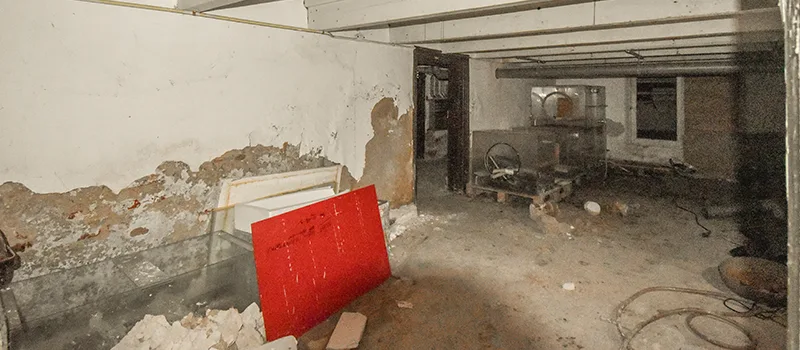 Home Basement Renovation in Downtown Toronto, Toronto