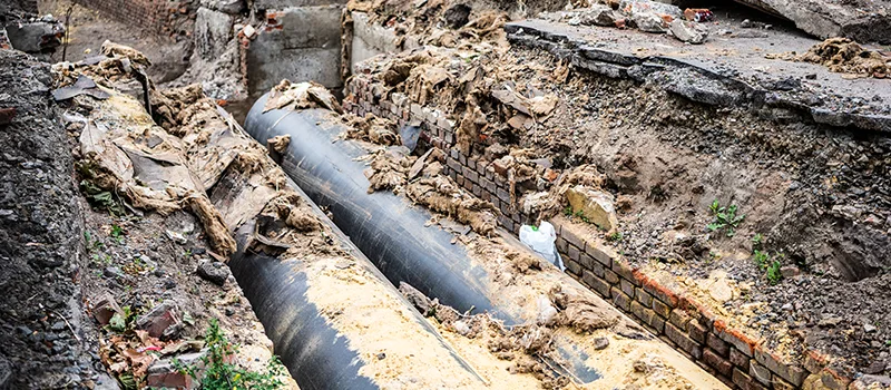 Commercial Sewer Tree Roots Damage Solutions in Downtown Toronto, Toronto