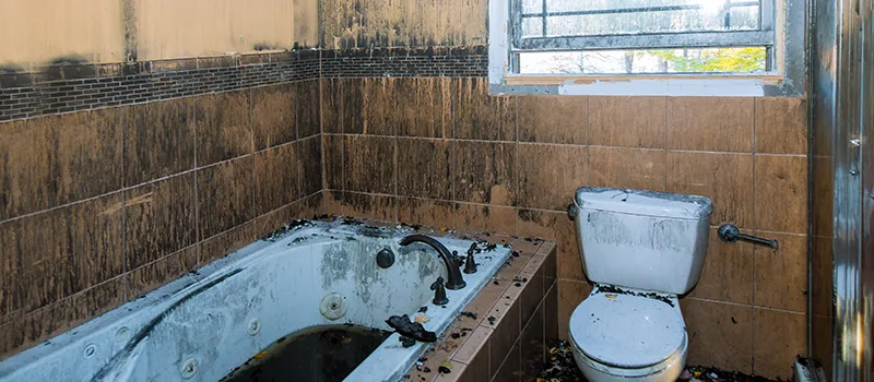 Residential Water Damage Restoration in Downtown Toronto, Toronto