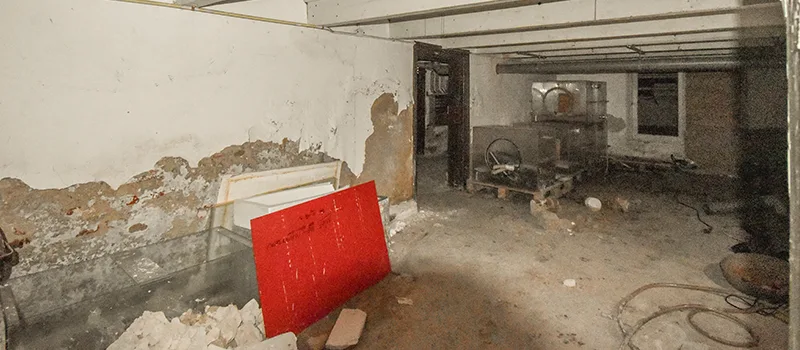 Basement Water Flooding Restoration in Downtown Toronto, Toronto