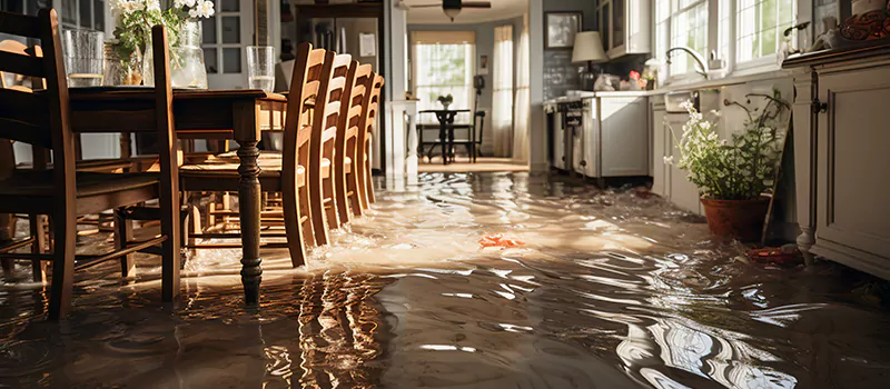 Flooded House Help Near Me in Downtown Toronto, Toronto