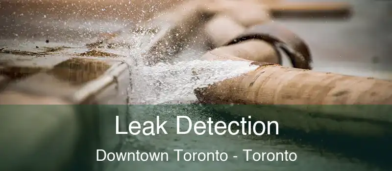  Leak Detection Downtown Toronto - Toronto