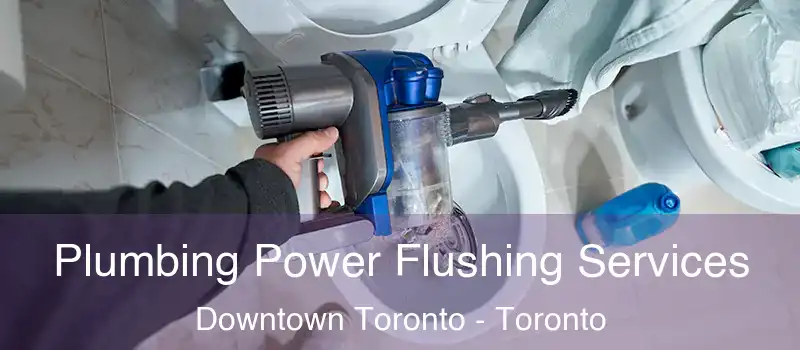  Plumbing Power Flushing Services Downtown Toronto - Toronto
