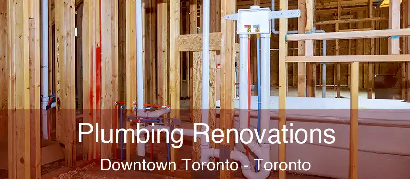  Plumbing Renovations Downtown Toronto - Toronto