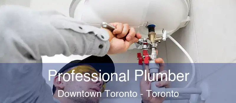  Professional Plumber Downtown Toronto - Toronto