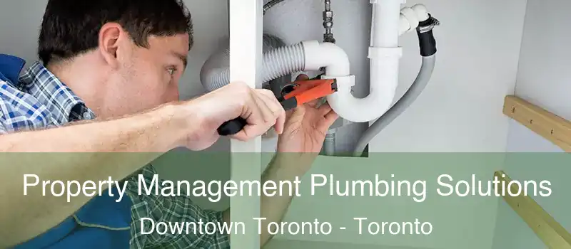  Property Management Plumbing Solutions Downtown Toronto - Toronto