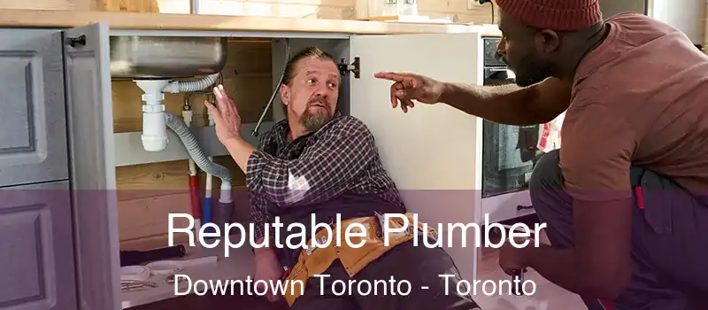  Reputable Plumber Downtown Toronto - Toronto