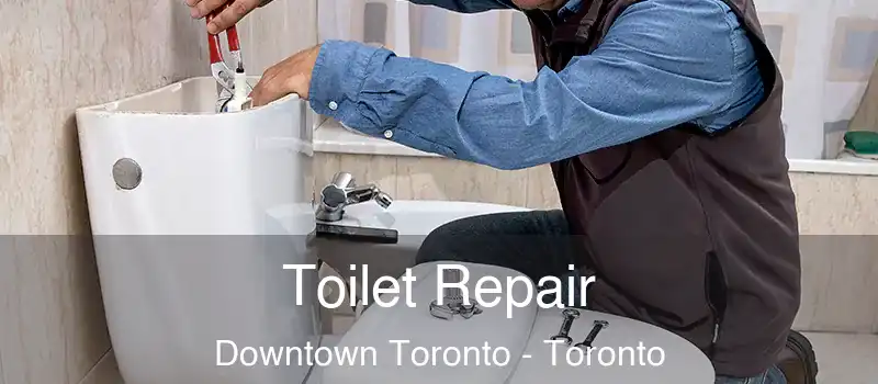  Toilet Repair Downtown Toronto - Toronto