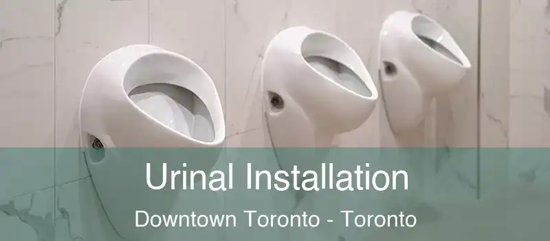  Urinal Installation Downtown Toronto - Toronto