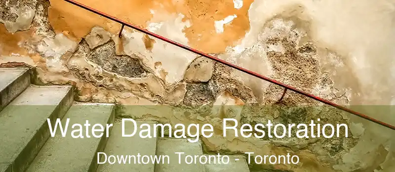  Water Damage Restoration Downtown Toronto - Toronto