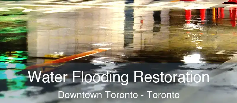  Water Flooding Restoration Downtown Toronto - Toronto