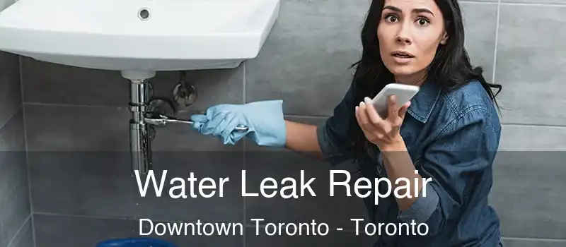  Water Leak Repair Downtown Toronto - Toronto