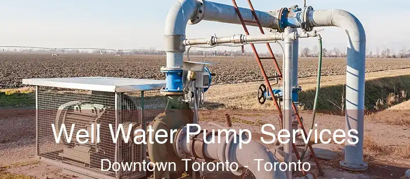  Well Water Pump Services Downtown Toronto - Toronto